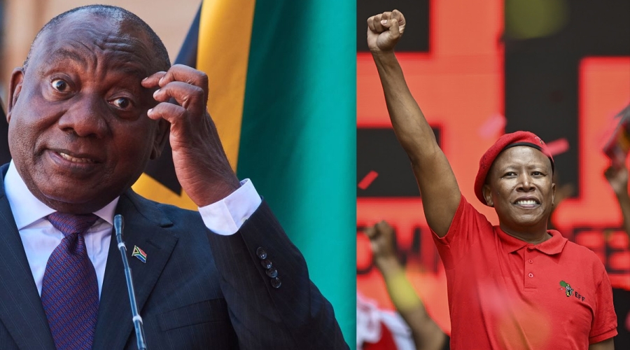 South Africa's Choice: Radical Change or Steady Progress